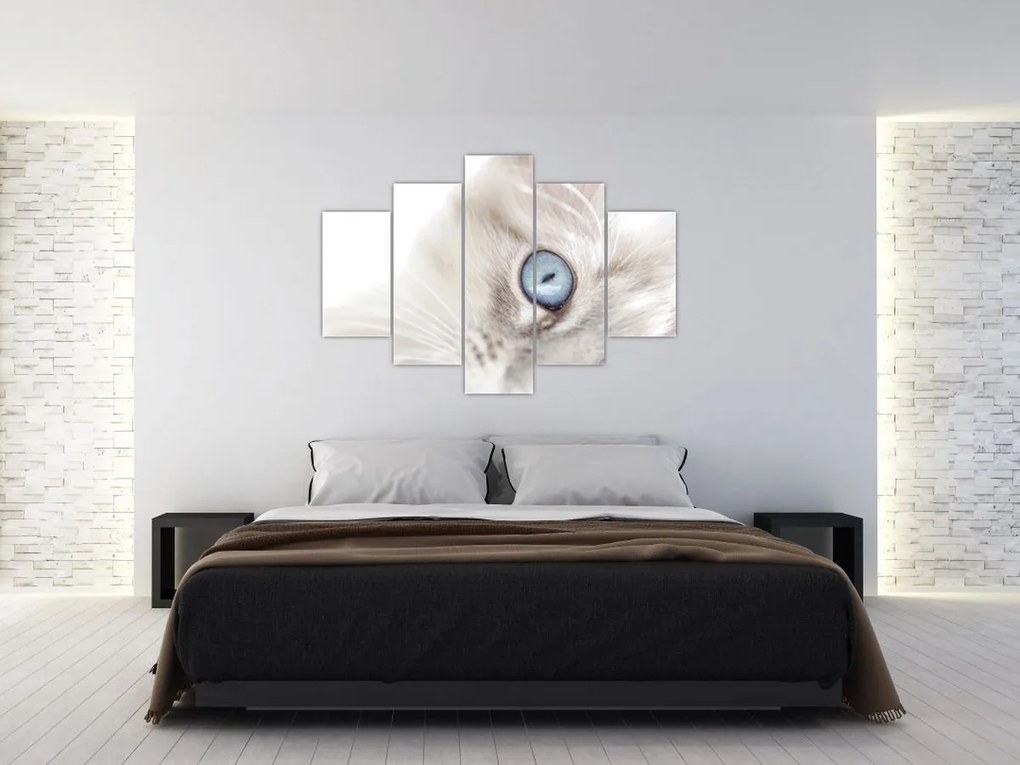Tablou - Pisica cu ochi albaștri (150x105 cm)
