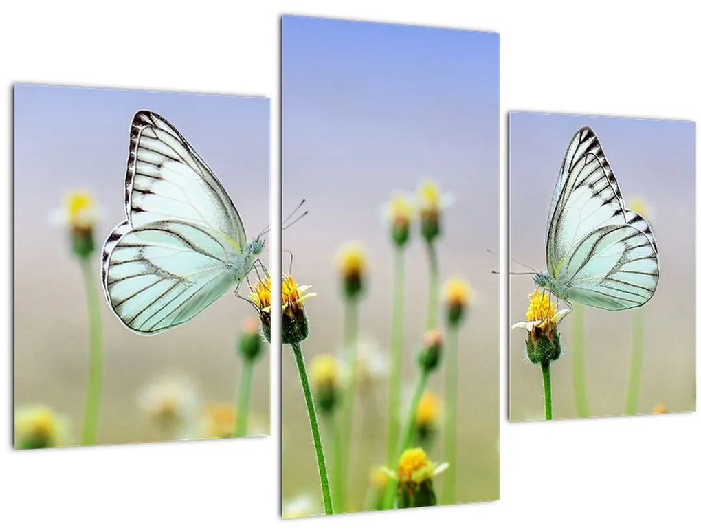 Tablou cu fluture pe floare (90x60 cm)