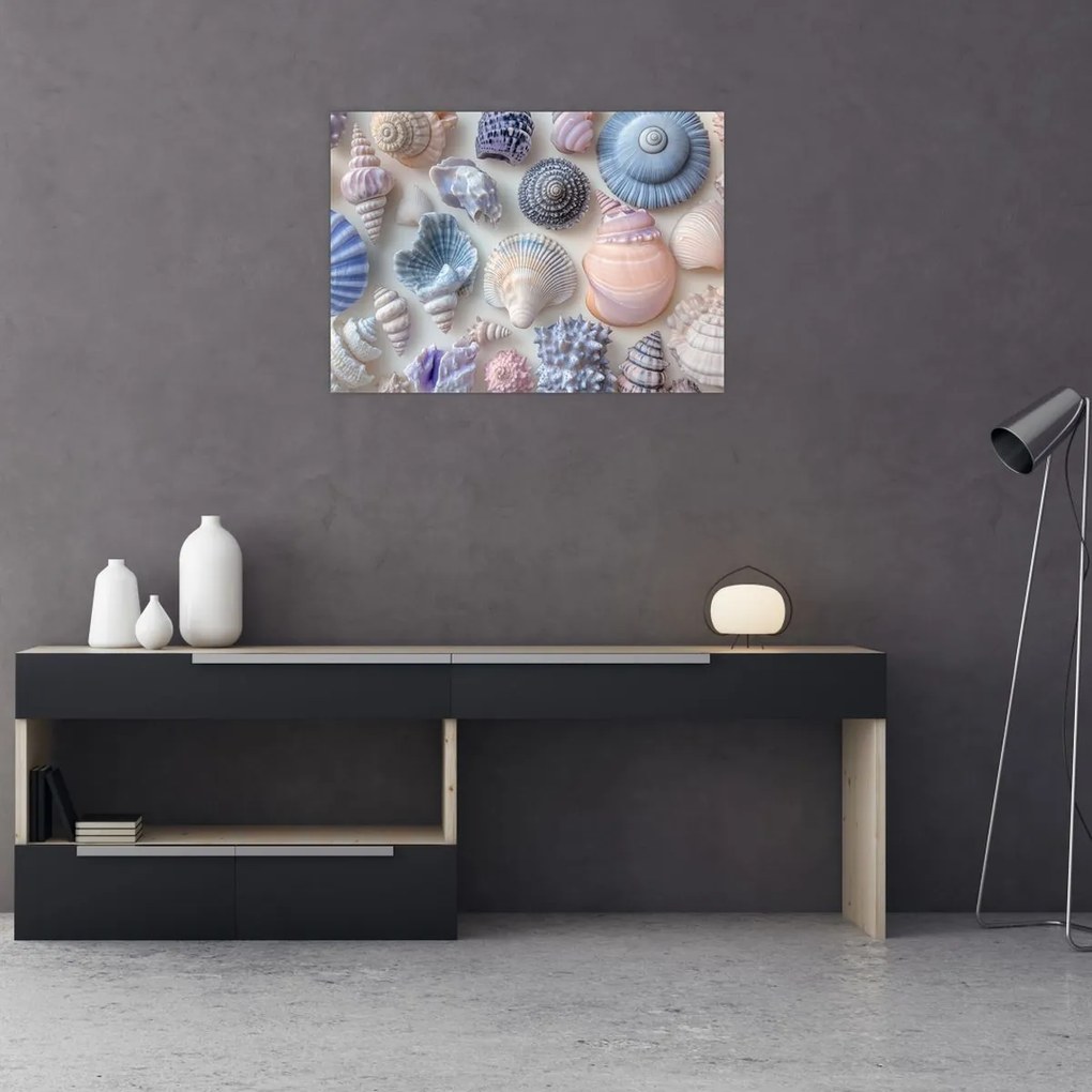 Tablou pe sticlă - Colecție de scoici (70x50 cm)
