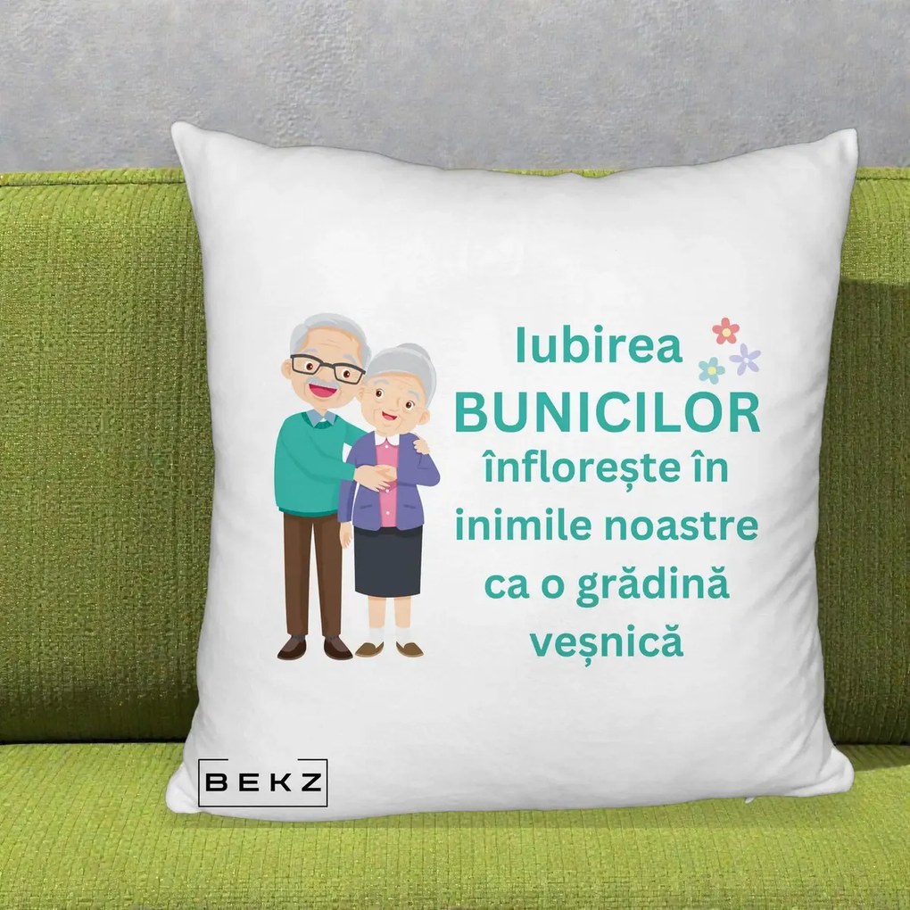 Cadou pentru Bunici - Perna Personalizata Bunicii Iubirea Infloreste Cuplu Senior Teal, 40x40 cm, Alb Pufos, Husa Detasabila, Perna Inclusa, BEKZ®