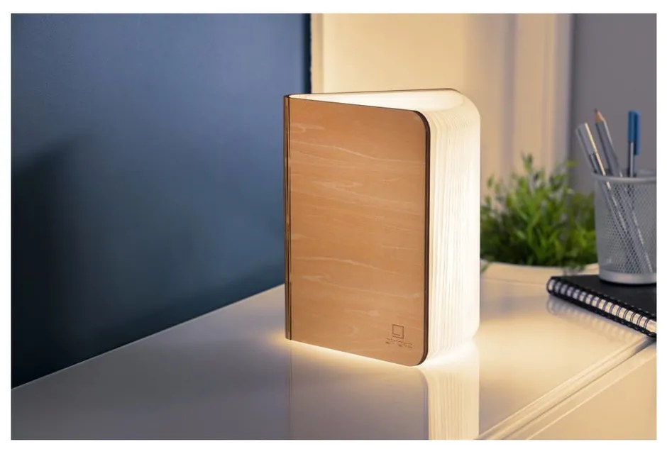Decorațiune luminoasă în culoare naturală cu USB Booklight – Gingko