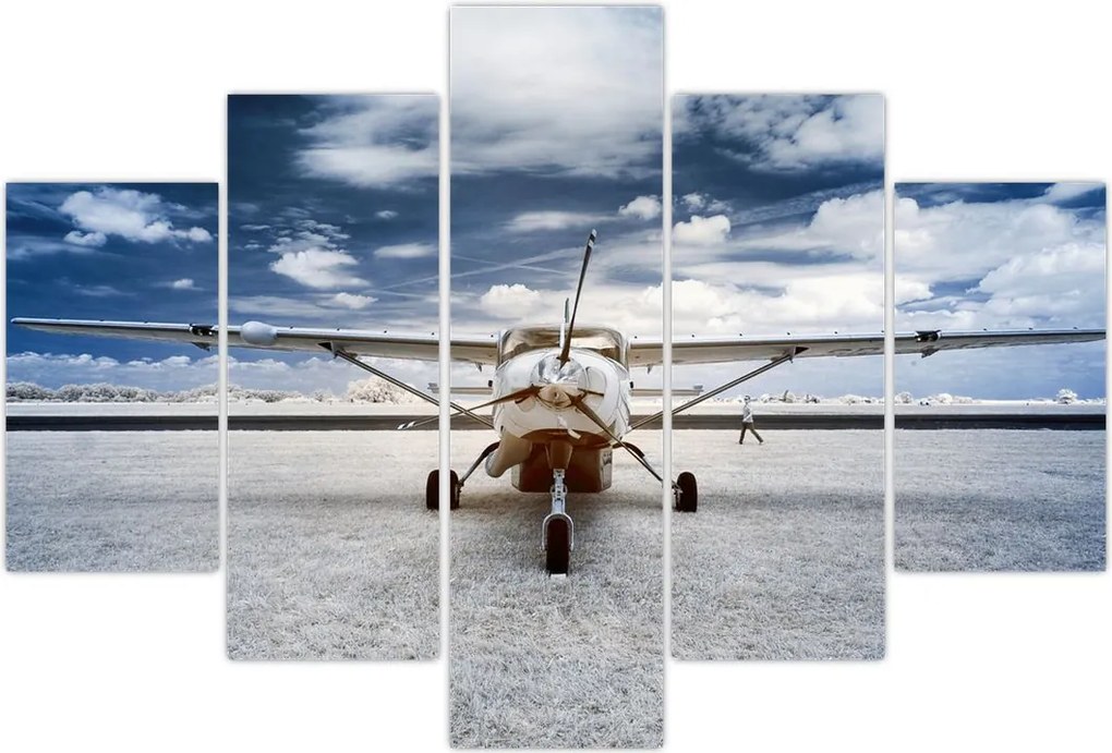 Tablou cu aeroplan cu motor (150x105 cm)