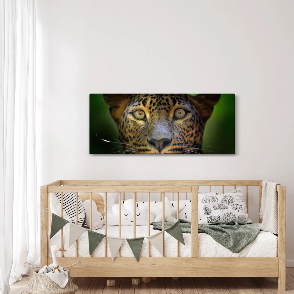 Tablou - Portretul leoparduslui, Sri Lanka (120x50 cm)