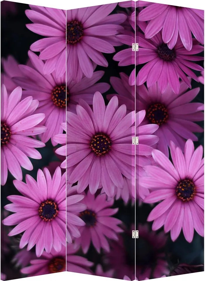 Paravan - Florile roz (126x170 cm)