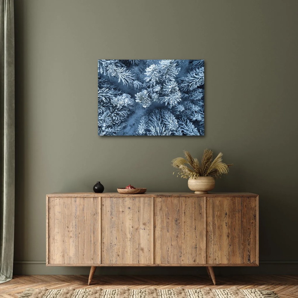 Tablou - Pădure înzăpezită (70x50 cm)