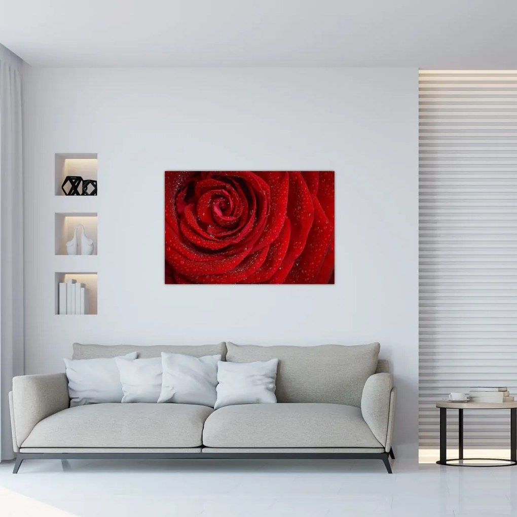 Tablou - detaliu de trandafir (90x60 cm)
