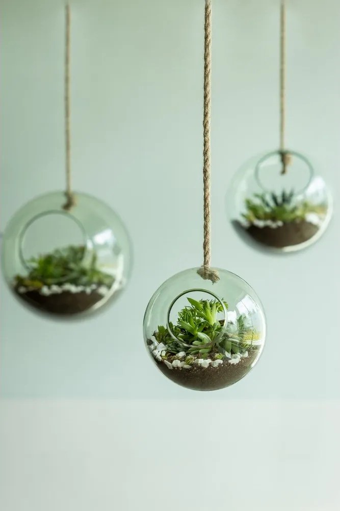 Terariu din sticlă ø 15 cm – Esschert Design