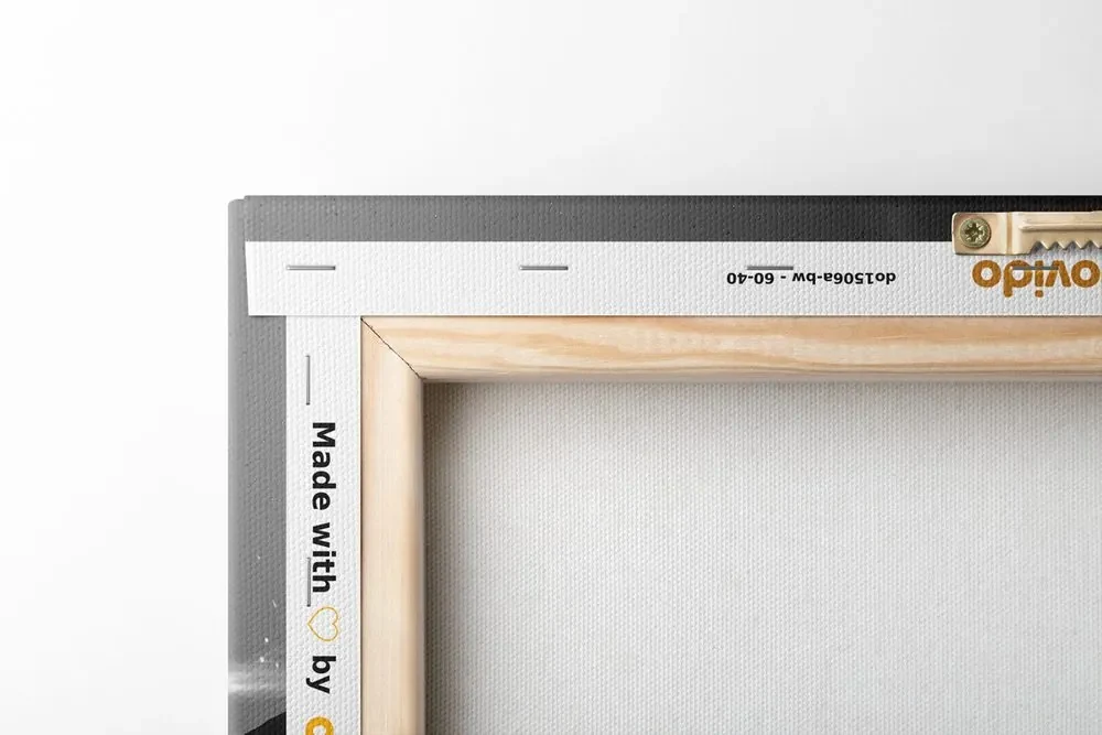 Tablou peisajul futurist în design alb-negru