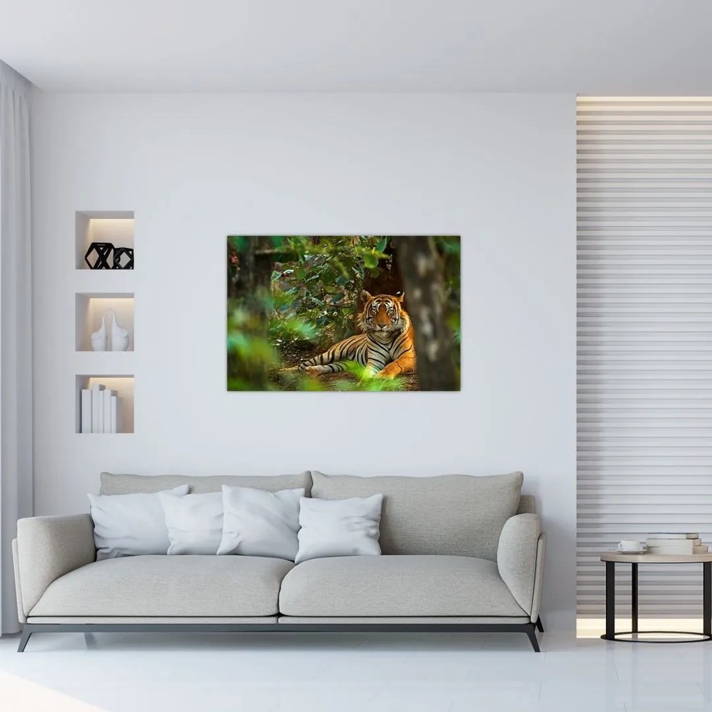 Tablou - Tigru odihnindu -se (90x60 cm)