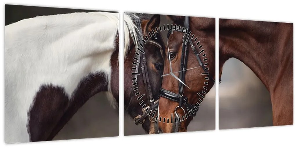 Tablou - Cai îndrăgostiți (cu ceas) (90x30 cm)