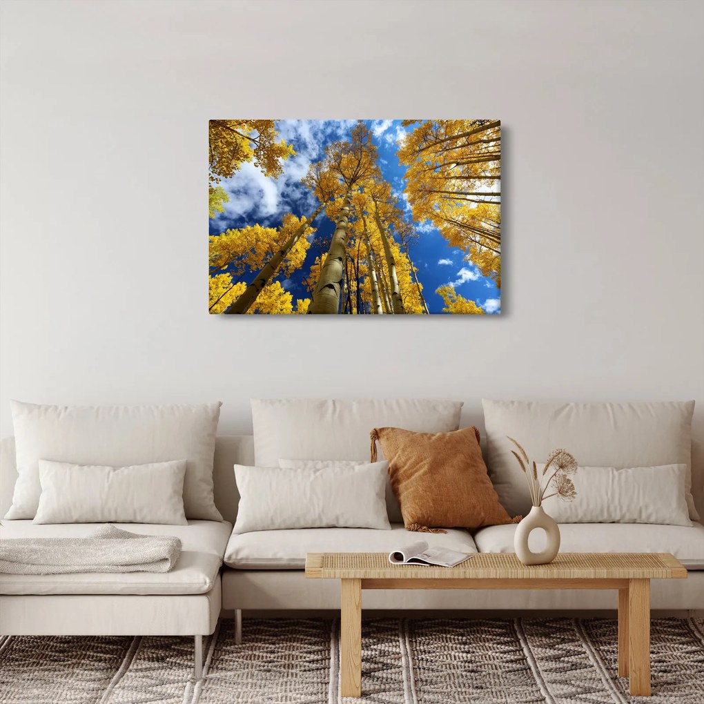 Tablou - Aspen (90x60 cm)