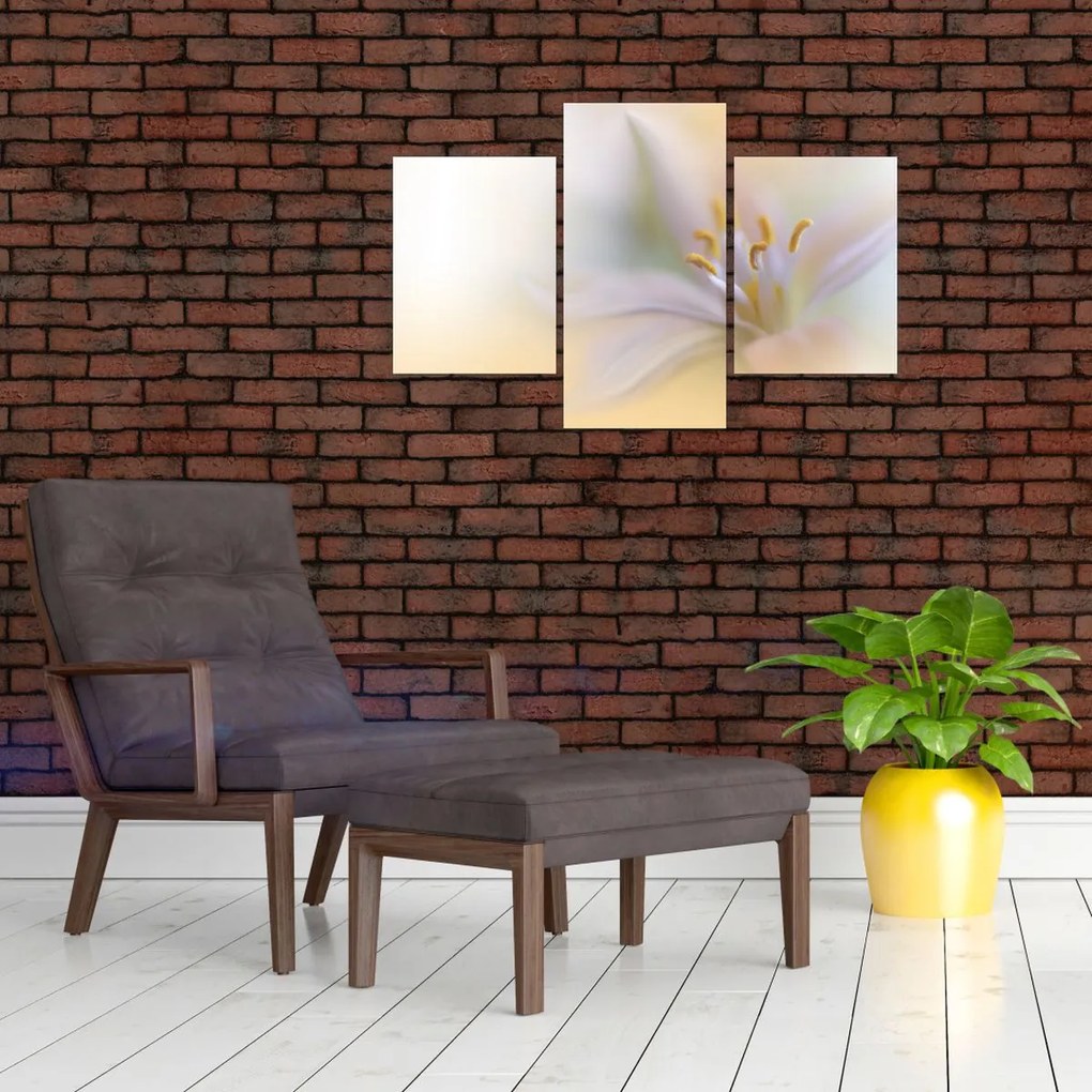 Tablou - Floare fragedă (90x60 cm)