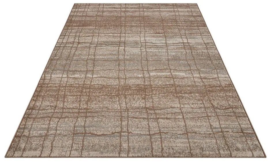Covor maro/bej 200x280 cm Terrain – Hanse Home