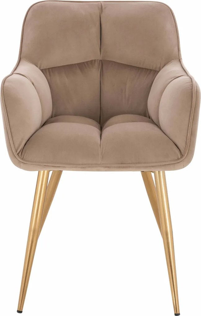 HR550 Scaun Latte Catifea cu Bază Aurie