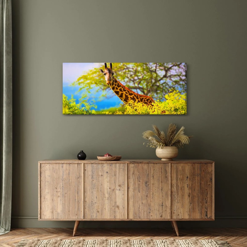 Tablou - Girafa în Africa (120x50 cm)