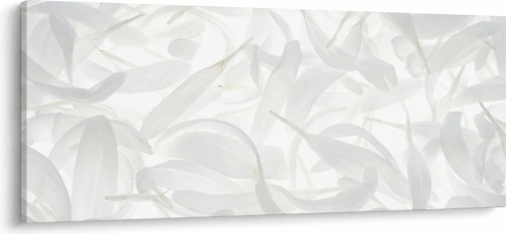 Tablou - Petale de frunze (120x50 cm)