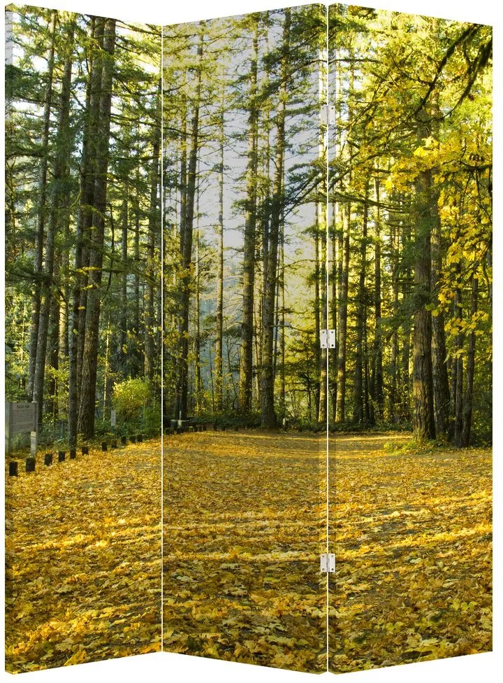 Paravan - Pădurea toamna (126x170 cm)