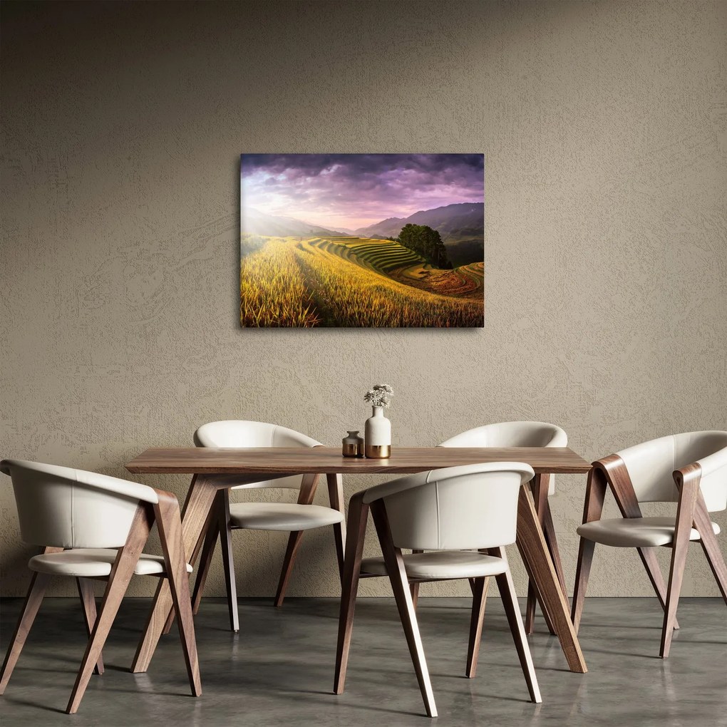 Tablou peisajului (70x50 cm)