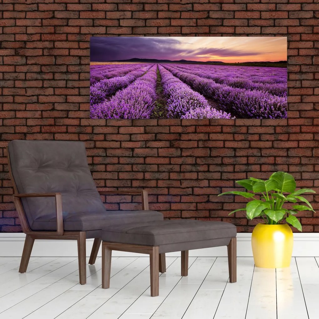 Tablou - Câmp de lavandă la apus de soare (120x50 cm)