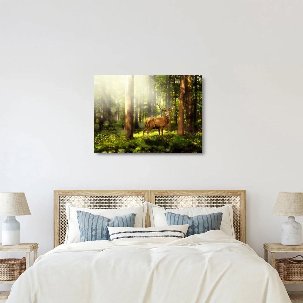Tablou pe sticlă cu cerbul în pădure (70x50 cm)