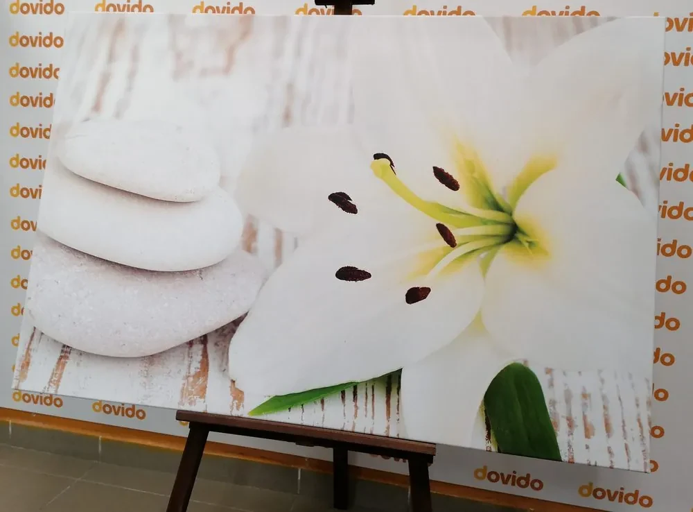 Tablou crinul și pietre de masaj în design alb