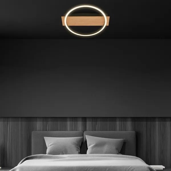 Briloner 3908-014 - Plafonieră LED KADA LED/14W/230V Ø 30 cm negru/maro