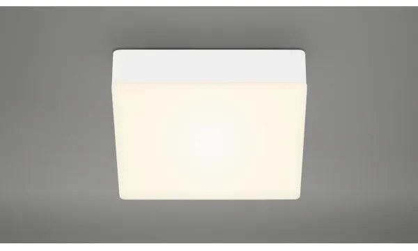 Plafonieră LED Briloner 7069-016 LED/11W/230V alb