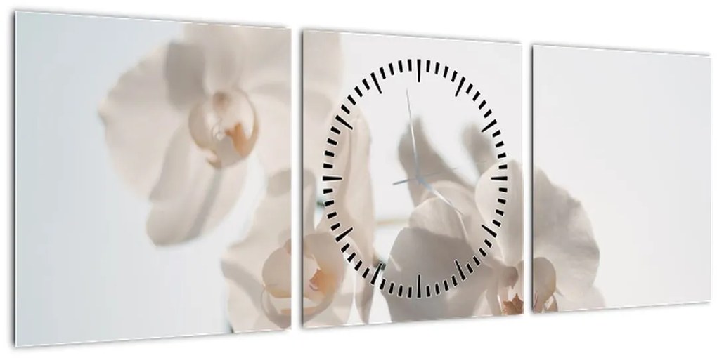Tablou cu orhidee albă (cu ceas) (90x30 cm)