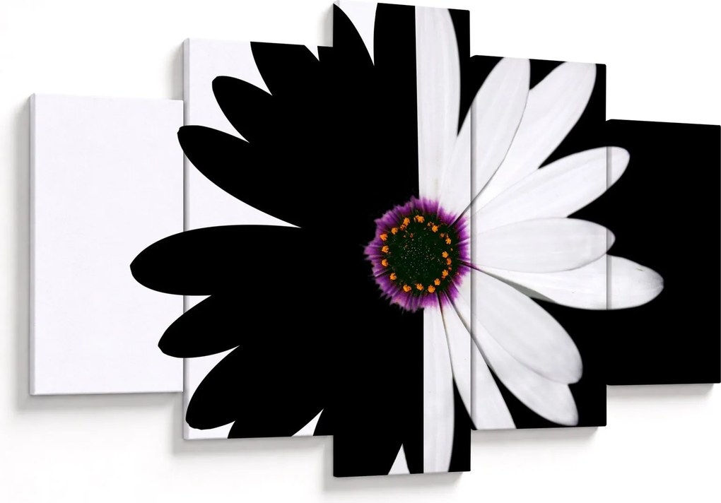 Tablou - Floare, alb- negru (150x105 cm)