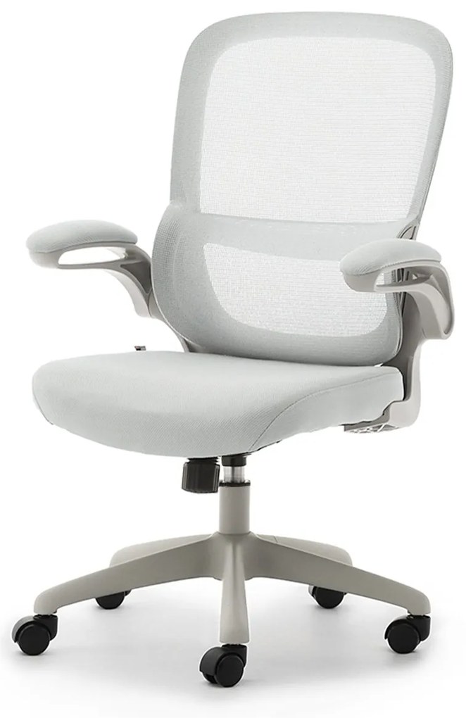 Scaun Bastet (gri). Promo -15%. 1110489