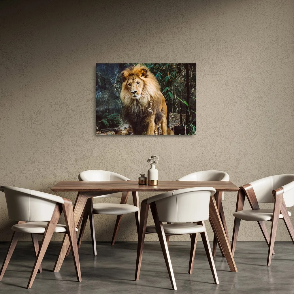 Tablou pe sticlă cu leu în natură (70x50 cm)