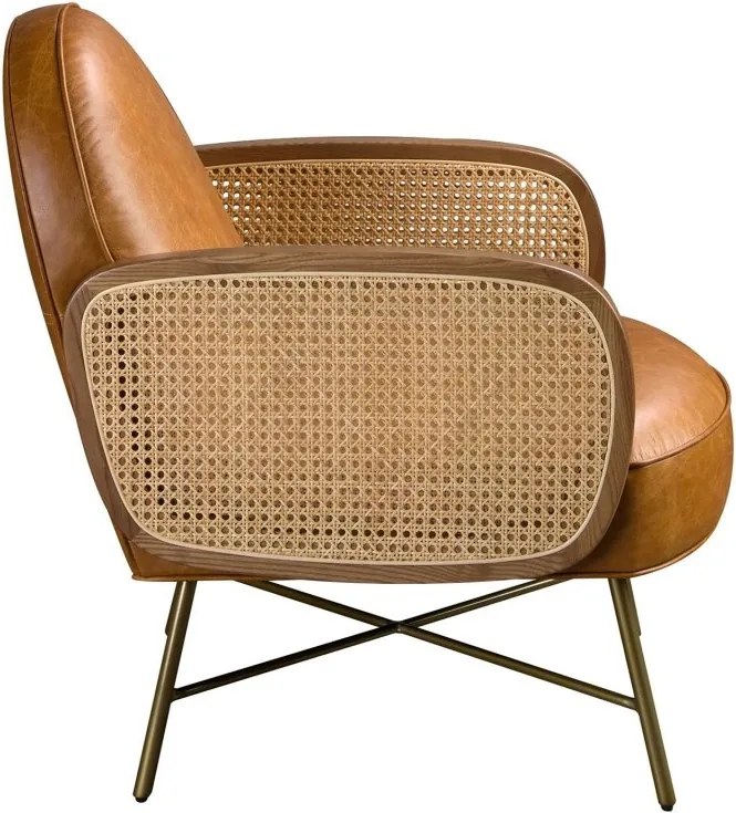 Fotoliu design LUX, Ratan, Piele Naturala 5162