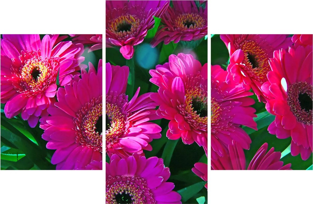 Tablou - floare (90x60 cm)