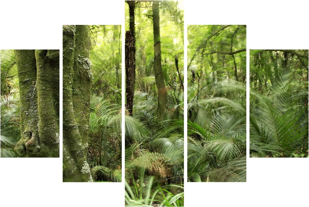 Tablou - Pădure tropicală (150x105 cm)