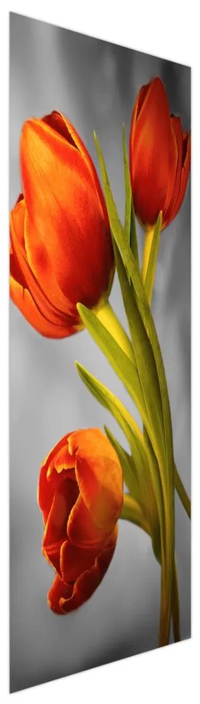 Fotojaluzele R013383R57150 (57x150 cm)