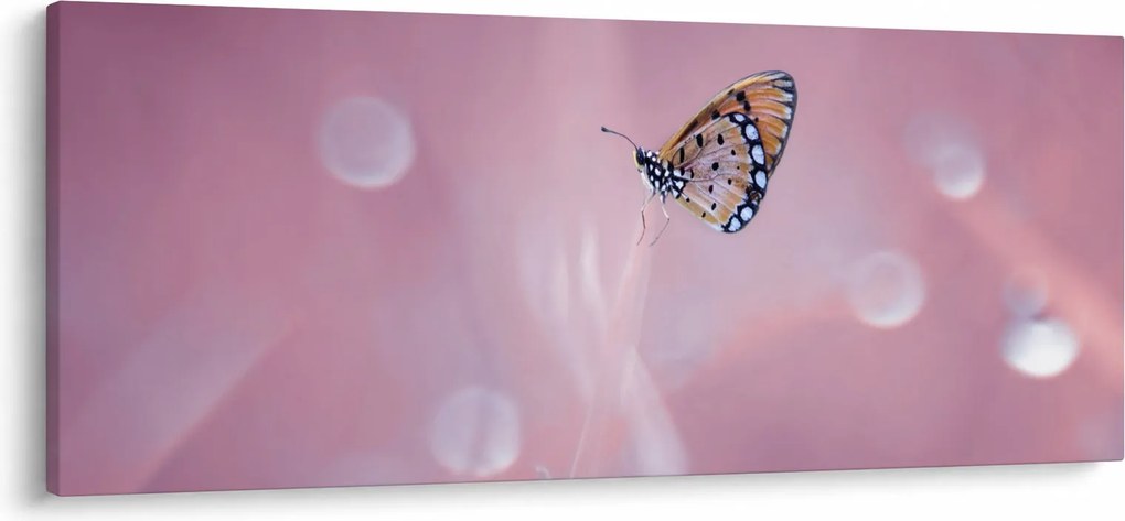 Tablou - Fluturele (120x50 cm)
