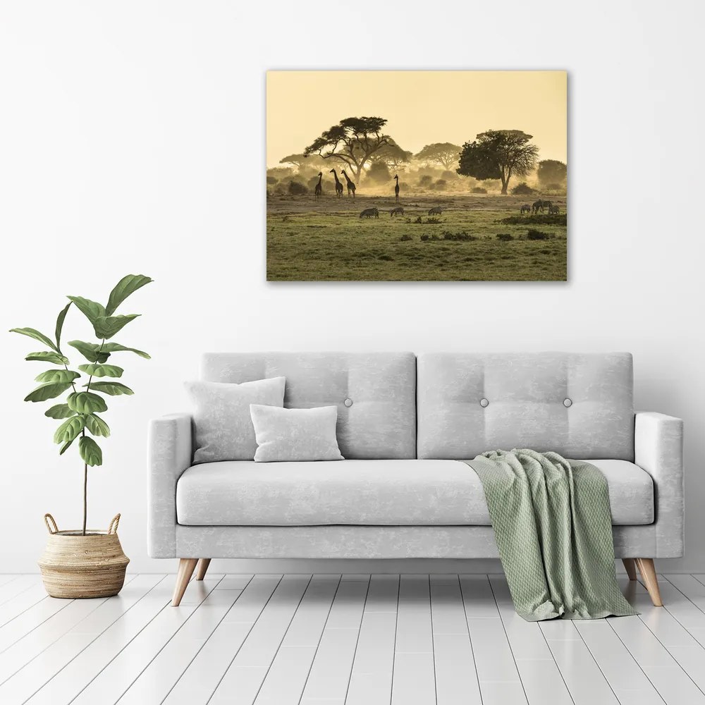 Imprimare tablou canvas Girafele pe savana