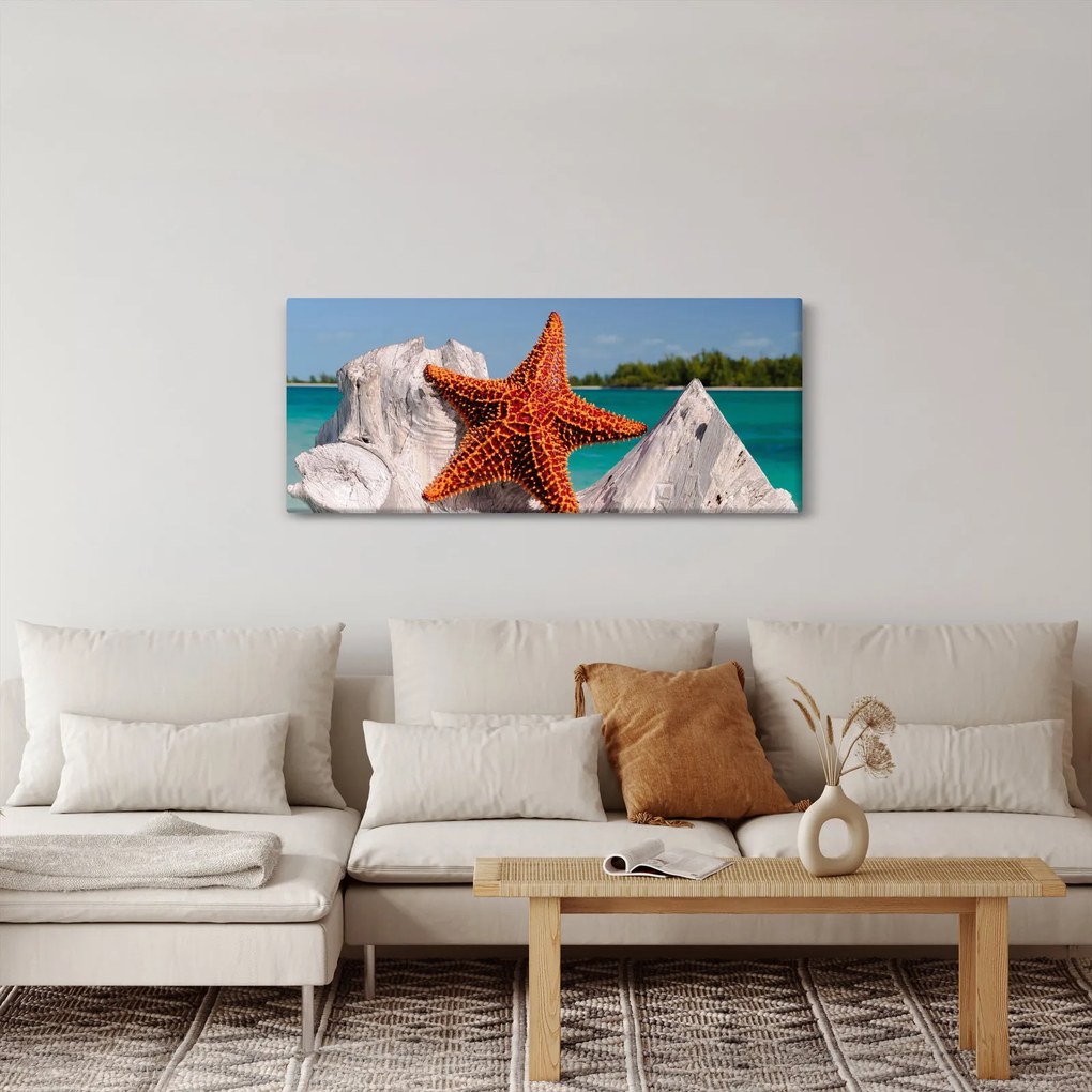 Tablou cu stea de mare (120x50 cm)