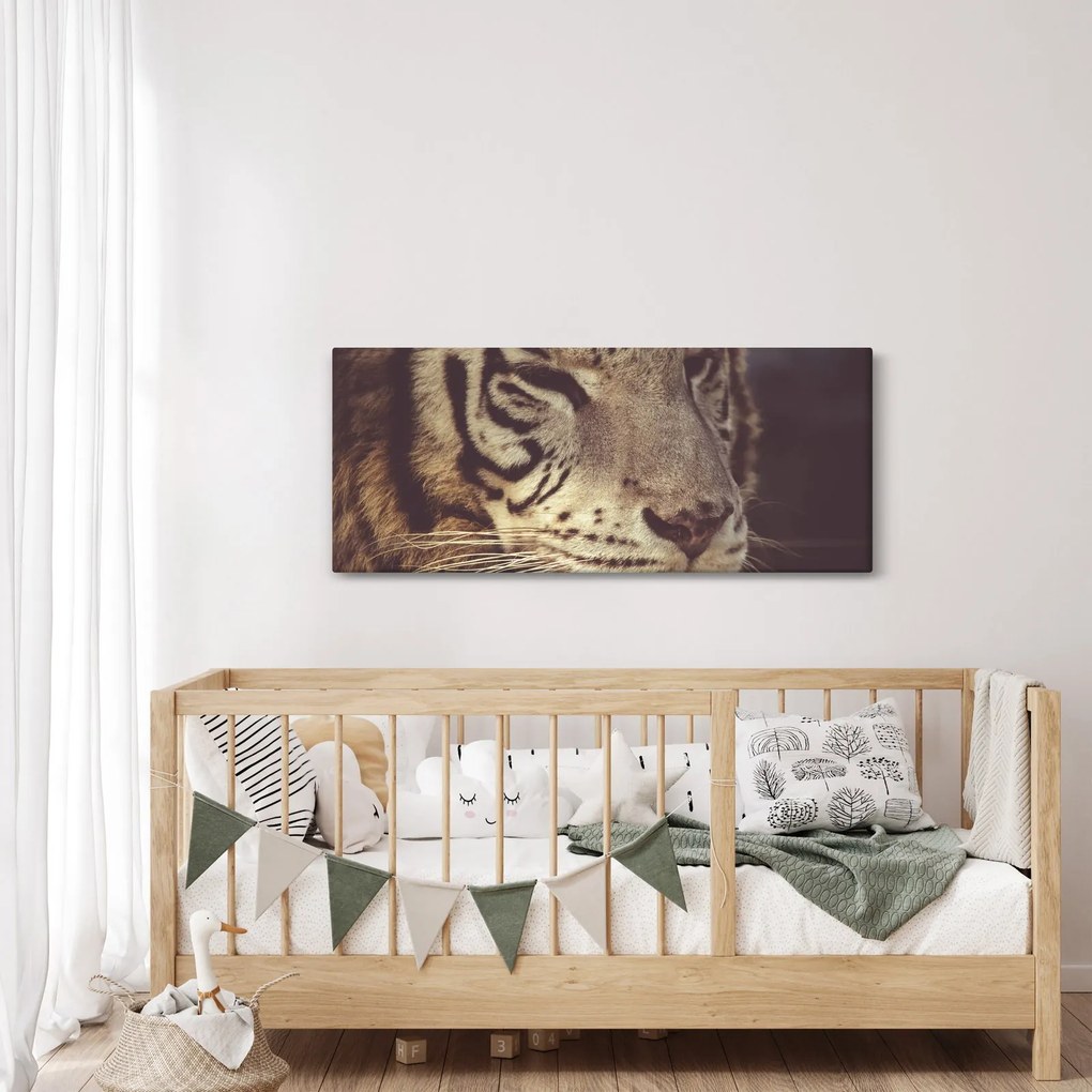 Tablou cu tigrul (120x50 cm)
