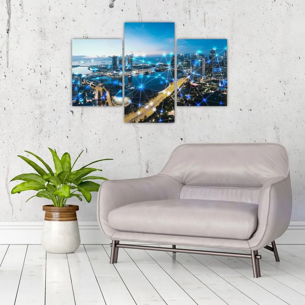 Tablou - Rețeaua orașului (90x60 cm)