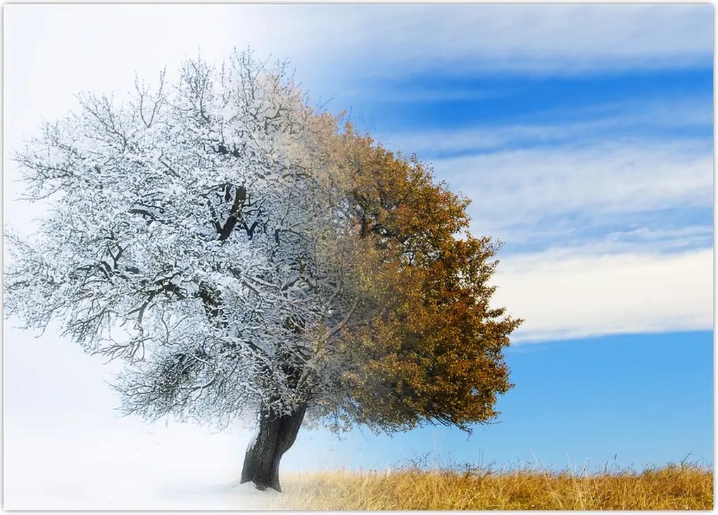 Tablou - Schimbarea anotimpurilor (70x50 cm)