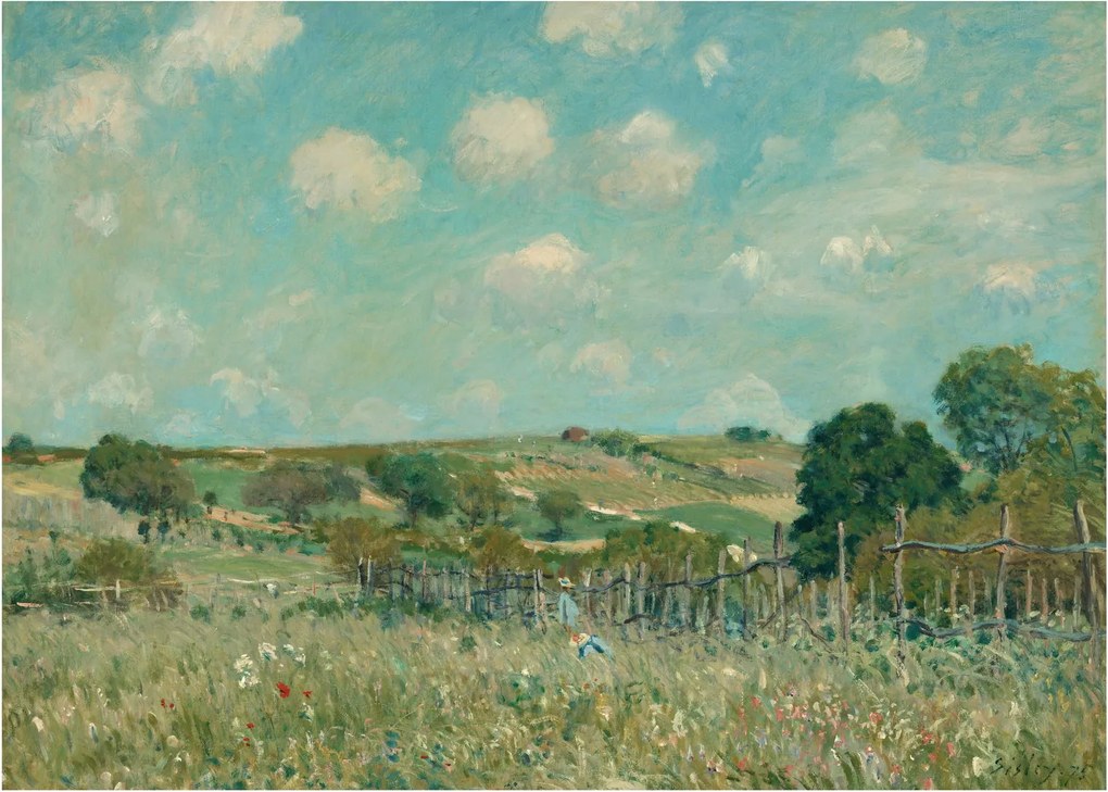 Tablou pe sticlă - Alfred Sisley, Meadow, reproducere (70x50 cm)