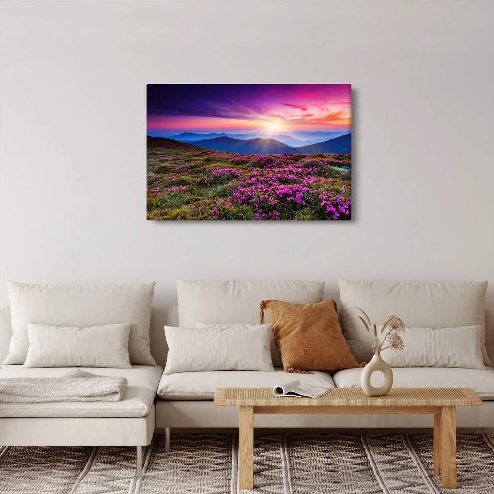Tablou - Munte înflorit peisaj (90x60 cm)