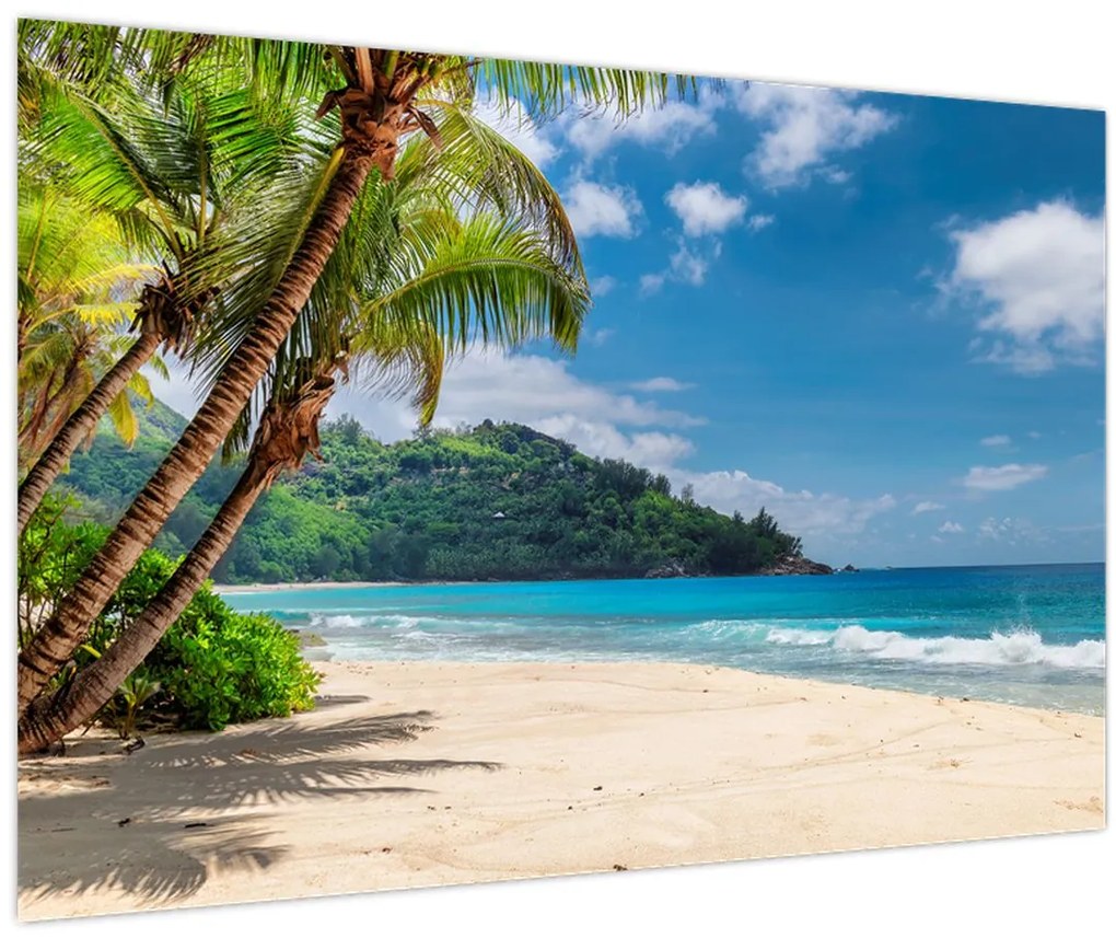 Tablou - Caraibe (90x60 cm)