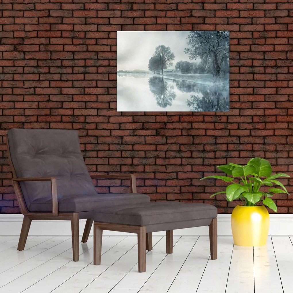 Tablou cu natura iarna (70x50 cm)