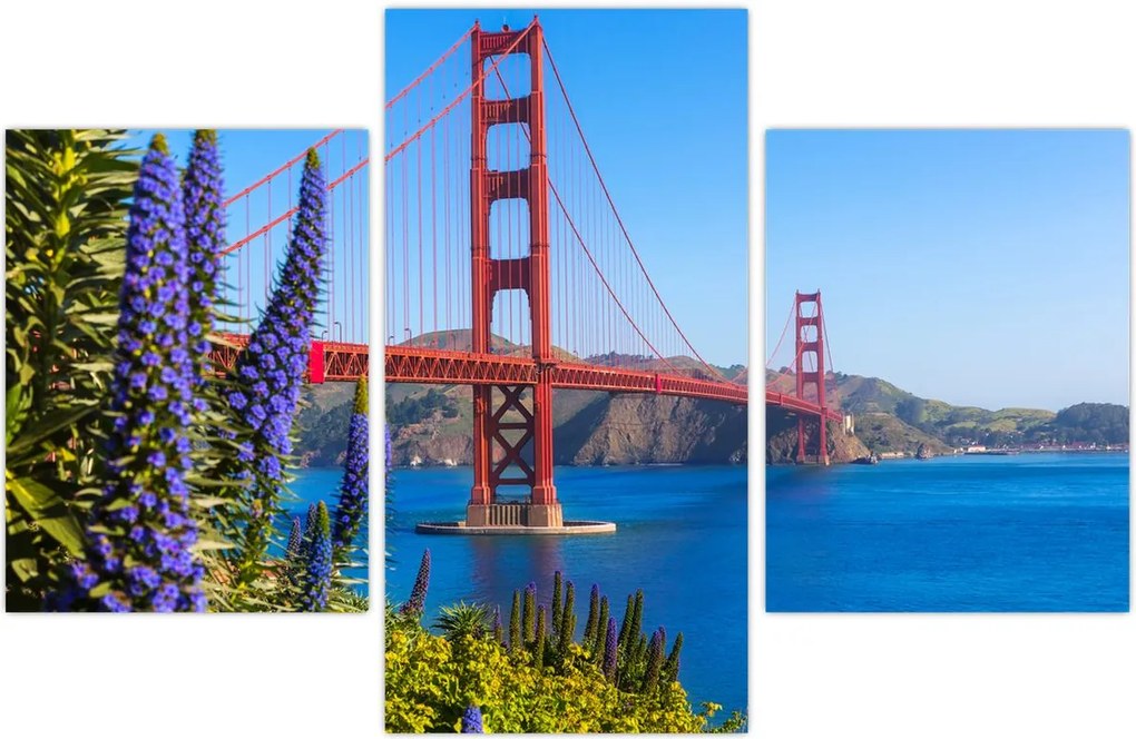 Tablou - Podul Golden Gate, San Francisco (90x60 cm)