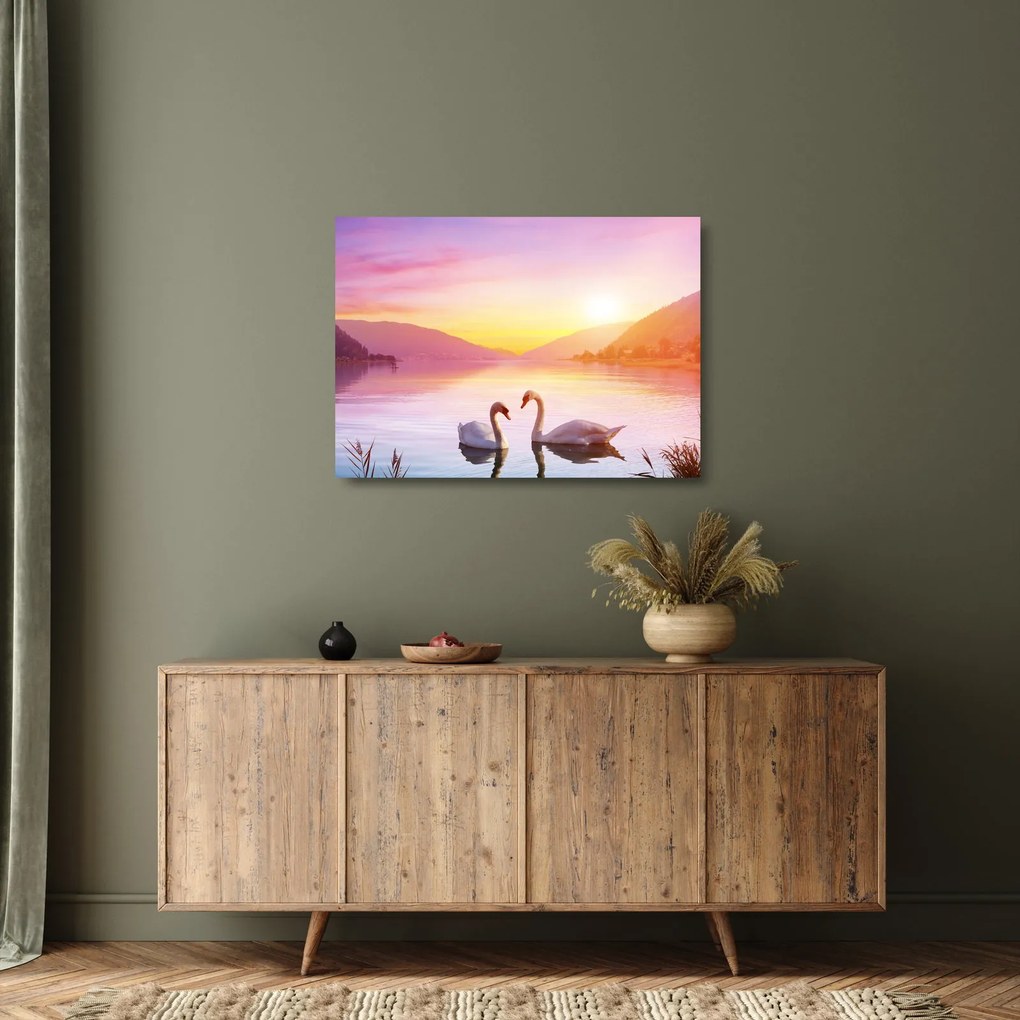 Tablou pe sticlă - Lebăde îndrăgostite (70x50 cm)