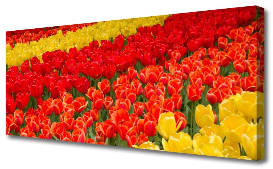 Tablou pe panza canvas Lalele Floral Roșu Galben