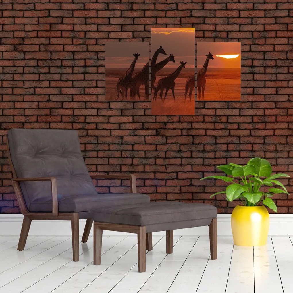 Tablou - Girafe în savana africană (90x60 cm)
