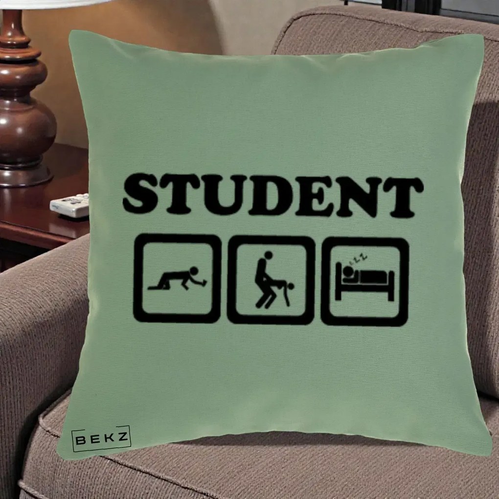 Perna Decorativa Student Life, 40x40 cm, Verde, Husa Detasabila, Perna Inclusa, BEKZ®